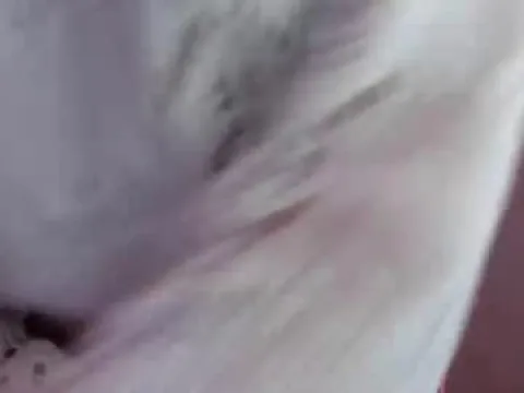 Watch Sally Offline Adult Webcam Show - Free Sex Cam Stream