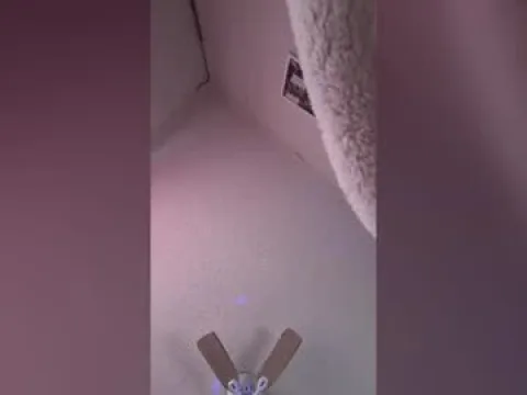 Watch Aguevara6295 Offline Adult Webcam Show from United States - Free Sex Cam Stream