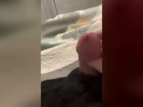 Watch Bsnake9999 Offline Adult Webcam Show from United States - Free Sex Cam Stream