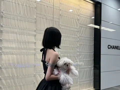 Watch Mochi-mochi Live Adult Webcam Show - Free Sex Cam Stream