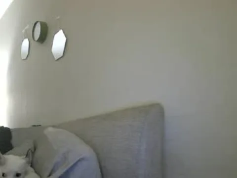 Watch Mistress Kate204 Offline Adult Webcam Show from United Kingdom - Free Sex Cam Stream