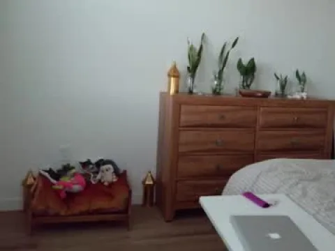 Watch empressmonaa Offline Adult Webcam Show from United States - Free Sex Cam Stream