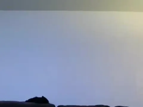 Watch John Offline Adult Webcam Show from United States - Free Sex Cam Stream