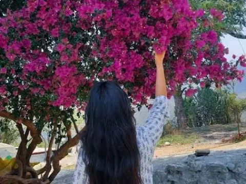 Watch Indian Priya Live Adult Webcam Show - Free Sex Cam Stream