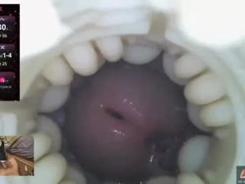 Watch Xoxowtf Live Adult Webcam Show from United States - Free Sex Cam Stream