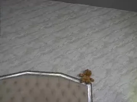 Watch Staceysin Offline Adult Webcam Show from Romania - Free Sex Cam Stream