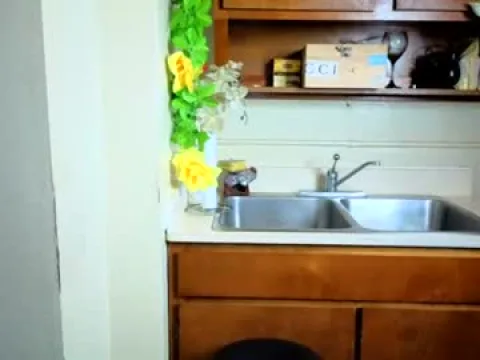 Watch DaGodddess Offline Adult Webcam Show from United States - Free Sex Cam Stream