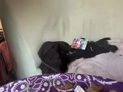 Watch DaedotFrankyLoko Offline Adult Webcam Show from United States - Free Sex Cam Stream
