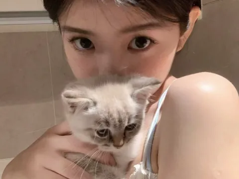 Watch Guoguo-77 Live Adult Webcam Show - Free Sex Cam Stream